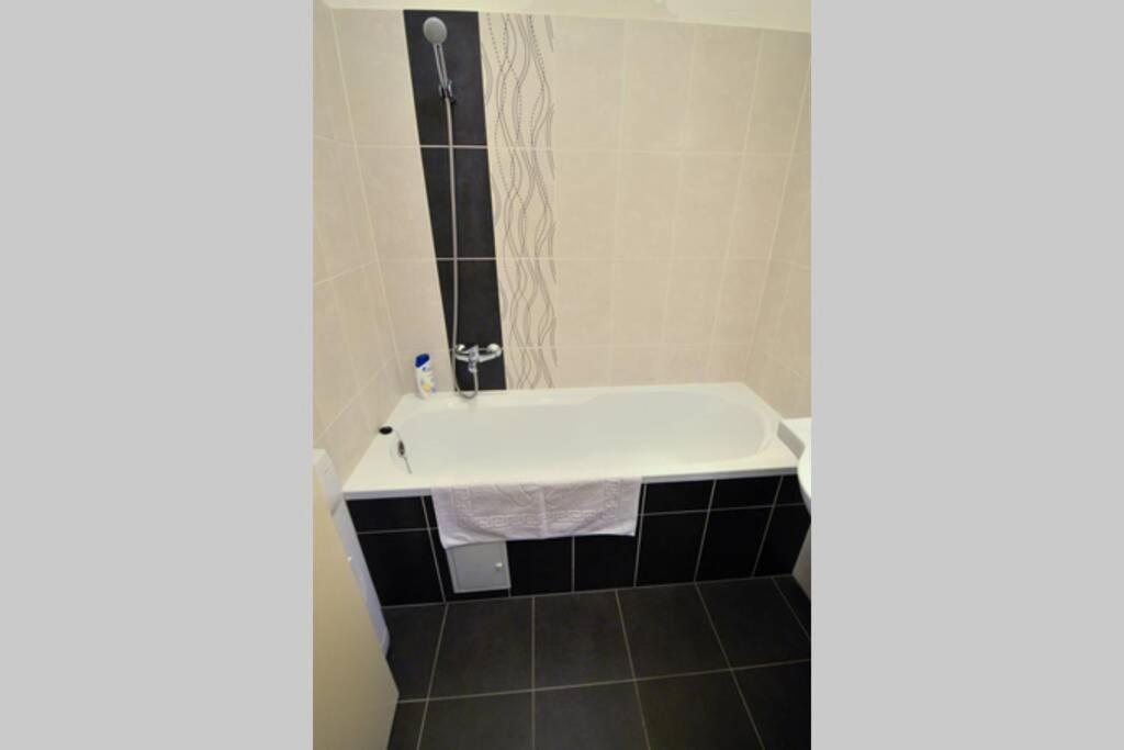 City Center Apartment Debrecen Ngoại thất bức ảnh